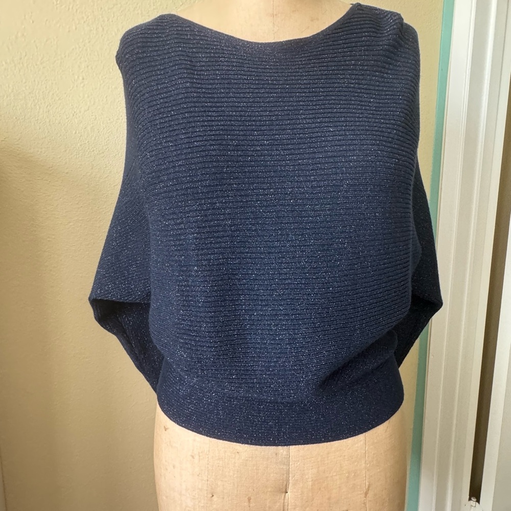 Chico's metallic Blue  sweater with Ribbed Knit Texture